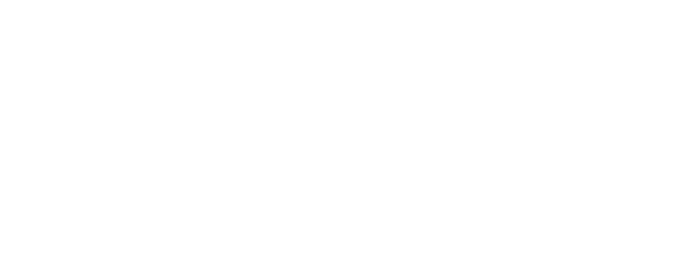 Logo Bonluck Group Corp